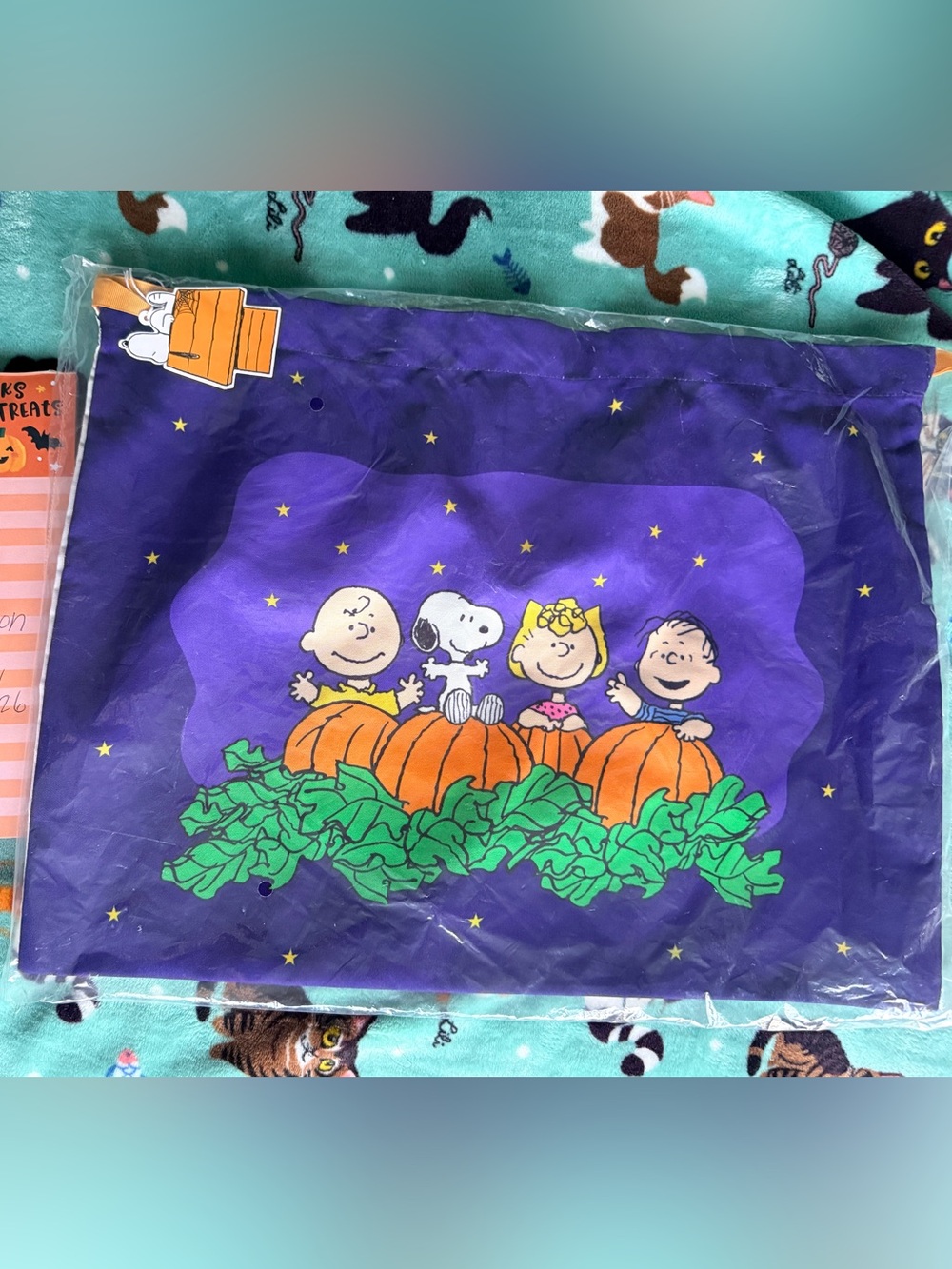 Harvey’s Peanuts Halloween Purse Dust Bag New